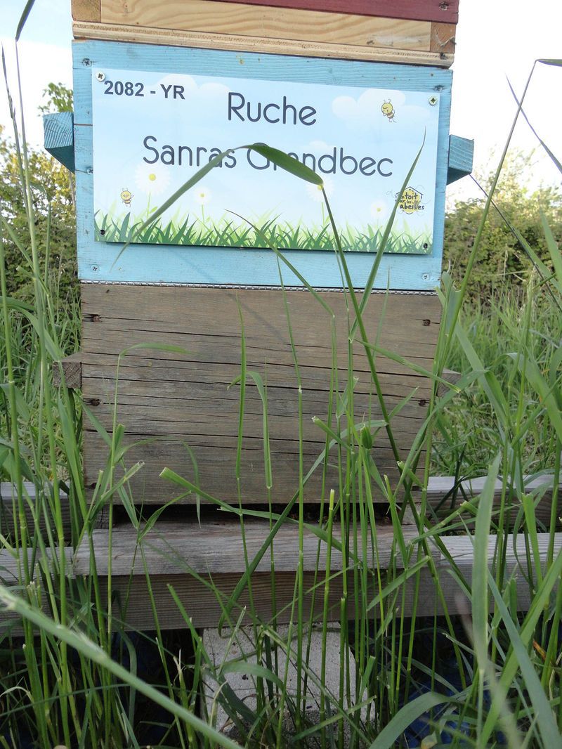 La ruche Sanras Grandbec